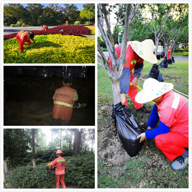 F:\2圖片\宣傳\2020高溫慰問\養護拼圖.jpg F:\2圖片\宣傳\2020高溫慰問\養護拼圖.jpg